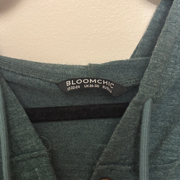 BloomChic Teal Hoodie Sweatshirt - Picture 2 of 4